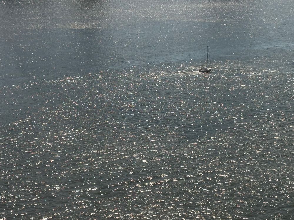 A small sloop with furled sails sits on a river in late morning sun