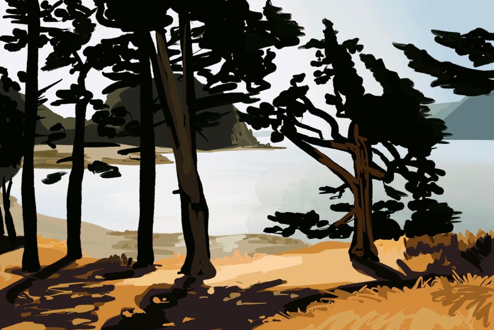 quick digital illustration of a bay with silhouettes of trees on golden grass in the foreground