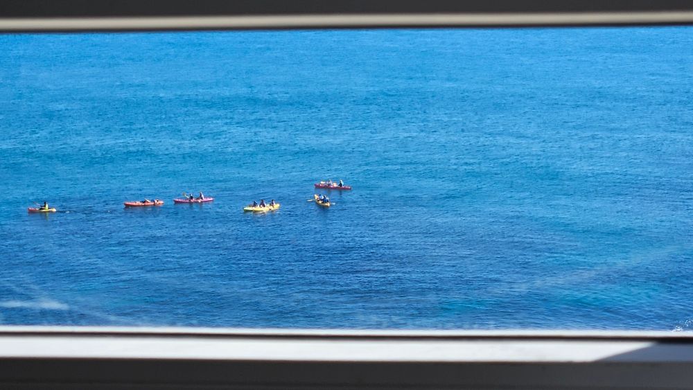 Grupo de personas remando en varios kayaks de colores sobre un mar azul, visto desde una ventana.
