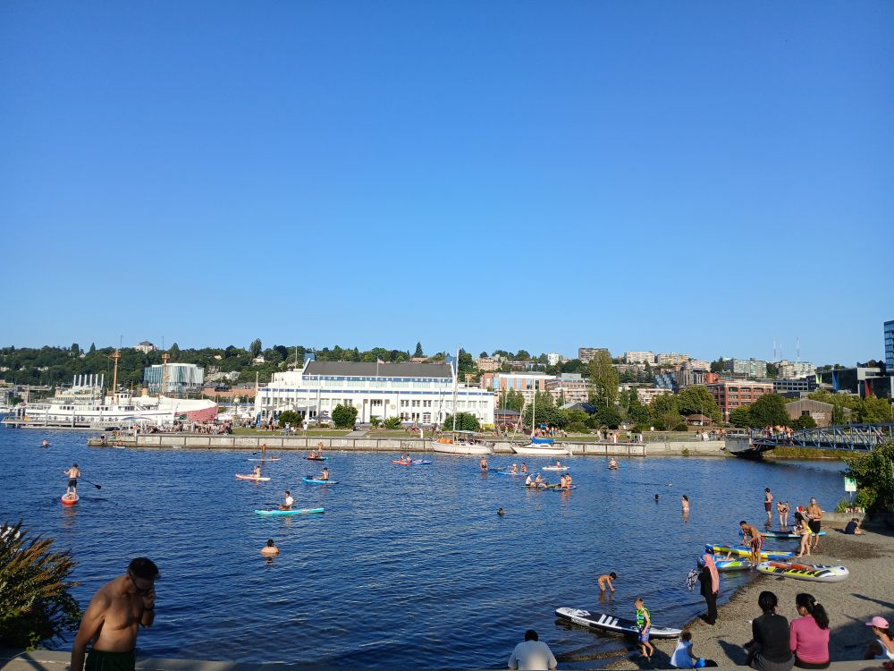 Folks wilding out at Lake Union park, paddle boarding swimming sunning and enjoying life
