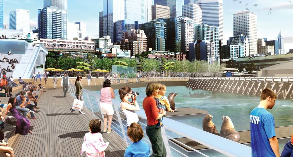 Folks hanging out with sea lions at the aquarium plaza that never happened