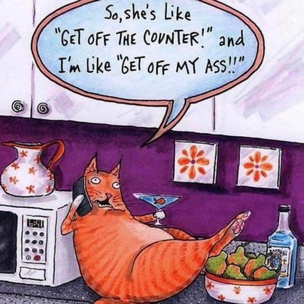Cartoon Image of orange cat reclining on the kitchen counter, feet up, martini in paw, leaning up against the microwave and while holding his phone to his ear, says “so she’s like get off the counter!” And I’m like “get off my ass!”  Lol 
