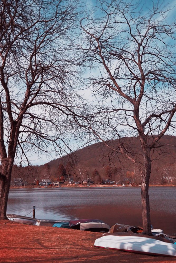 Trees at a lake boats on grass with mountain in background 
