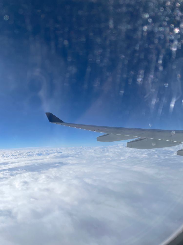 pic of blue sky and airplane wing from an  airplane window
