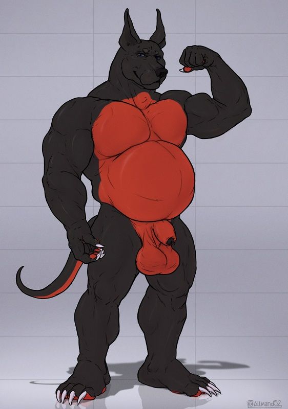 Musclegut red and black anthro dog showing off. Artistic nude