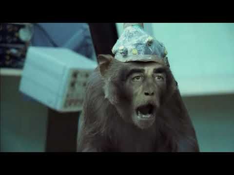 Basement Jaxx - Where's Your Head At (Official Video)