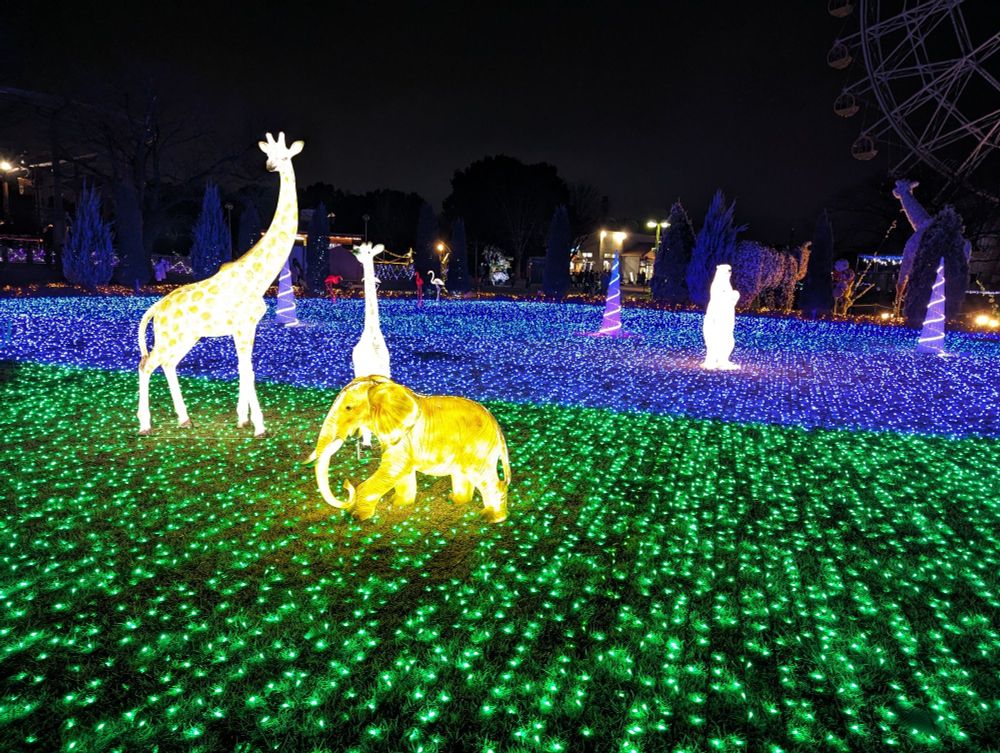 東武動物公園の冬季限定イルミネーション。キリン、ゾウ、シロクマの光る張り子アート。草原はLEDライトが絨毯のように敷かれている。
