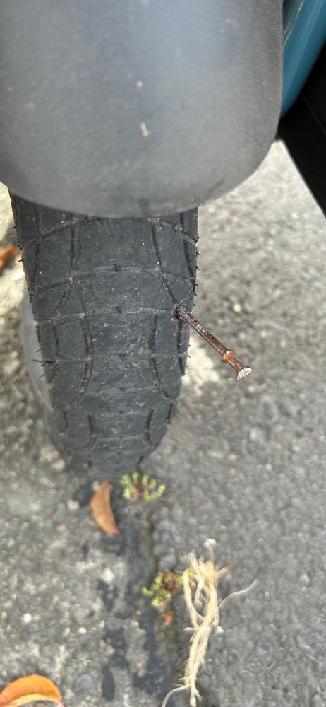 Close up shot of a bike tire with a very large nail sticking out of it. 