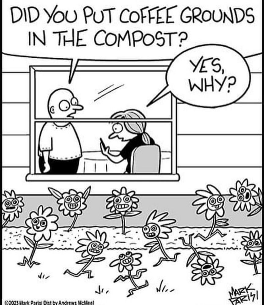 Meme: flowers running around like crazy. Man: DID YOU PUT COFFEE GROUNDS IN THE COMPOST?
Woman: YES, WHY?