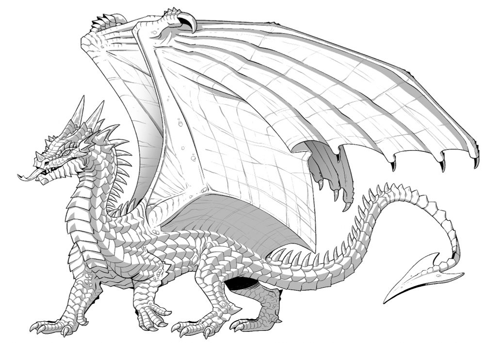 Western Dragon – Tucanian Dragon