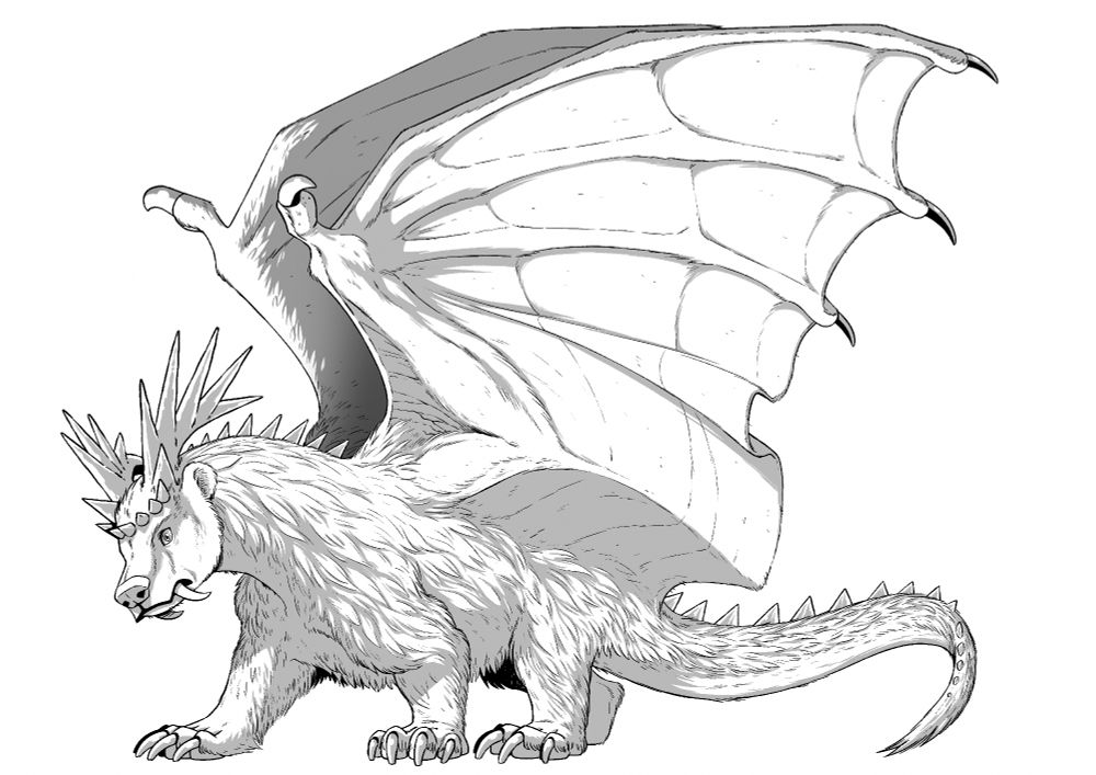 Northern Dragon – Tasish Dragon