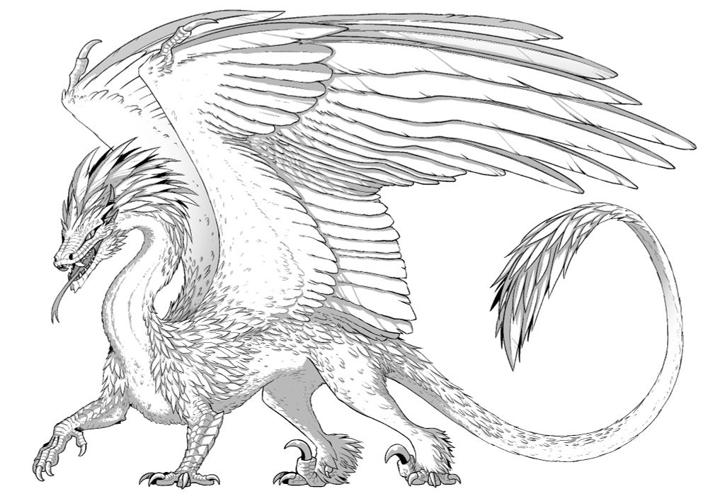 Southern Dragon – Fikolese Dragon