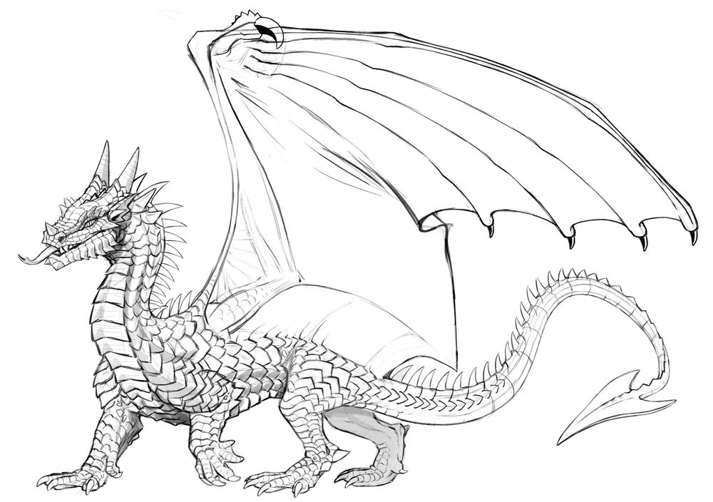 scales sketch
