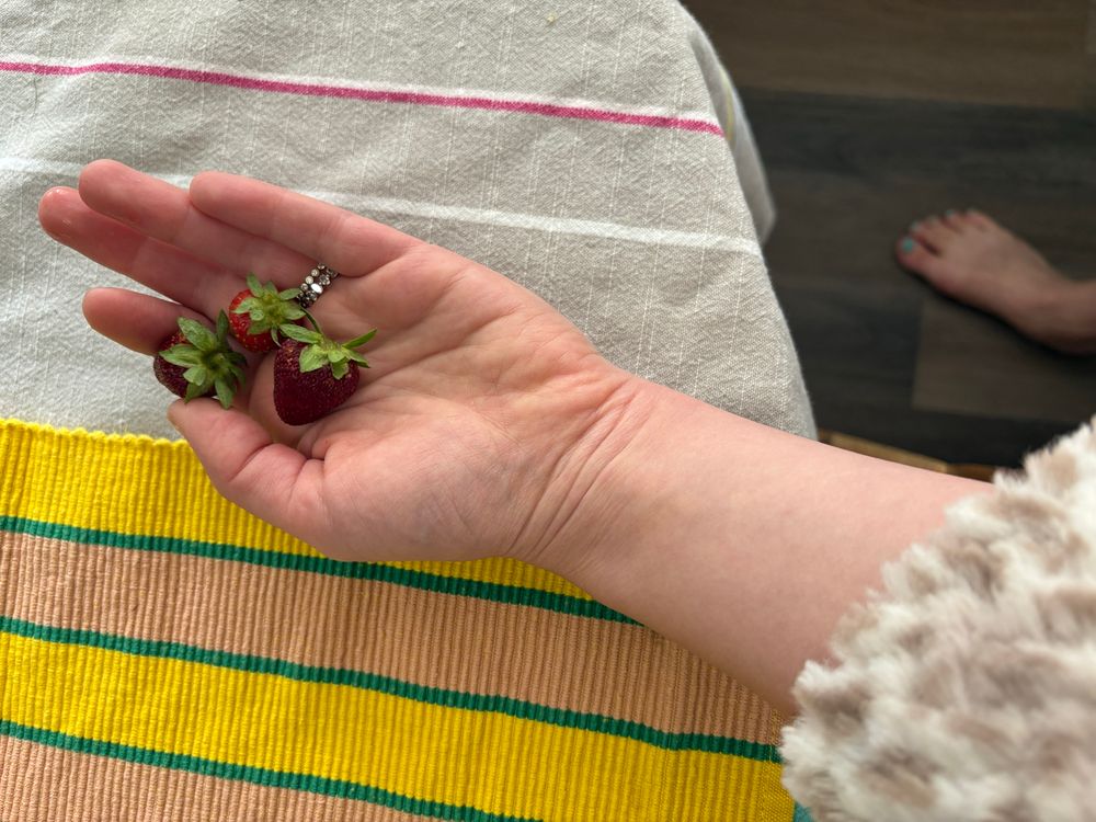Three strawberries in a hand that wears diamonds. Table linens in happy colors. Fuzzy bathrobed arm. Bare foot of a human animal with pedicure on kitchen floor, grounded. Life is good.