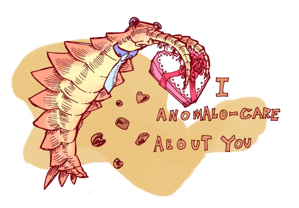 An anomalocaris, an arthropod with fins and two prominent front claws, holding a heart-shaped box of valentines chocolate. Text: I anomalo-care about you