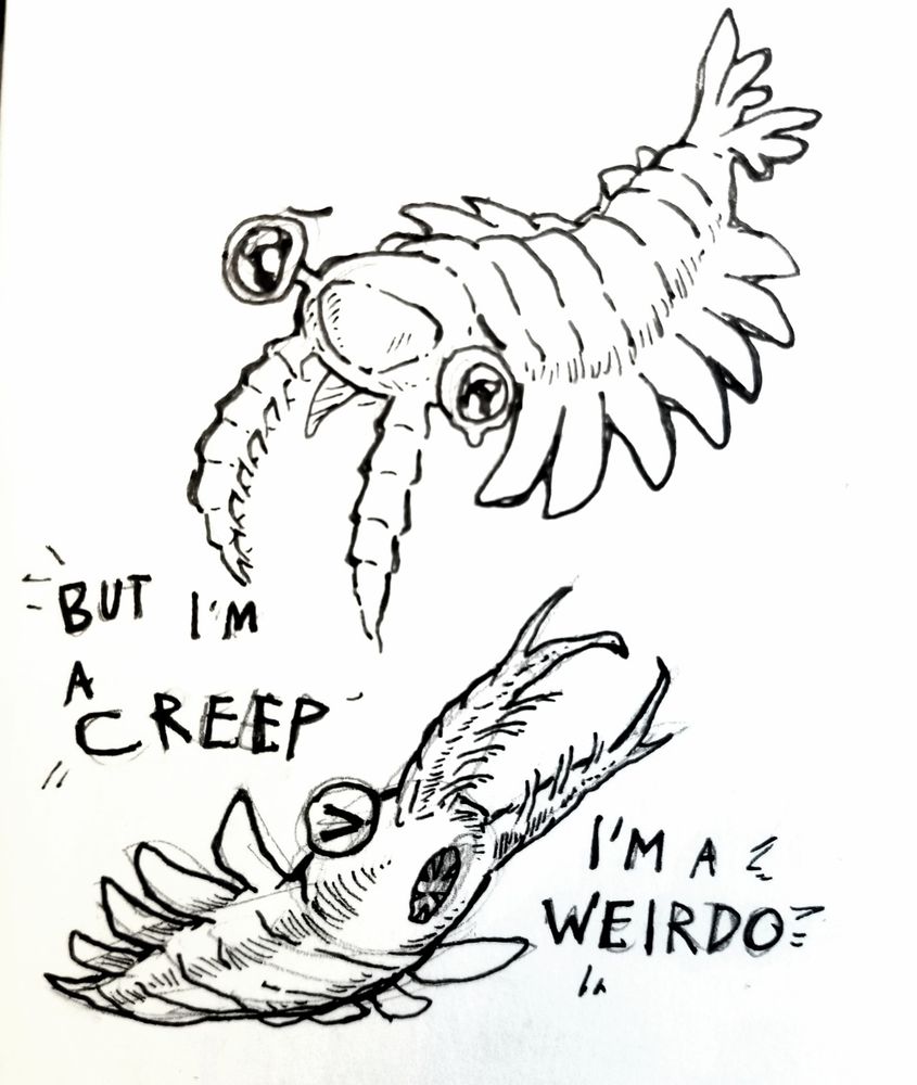 An anomalocaris, a shrimp-like prehistoric creature with prominent claws and stalk eyes, depicted here with cartoonishly sad watery eyes, next to text "I'm a creep." Directly below it is the same anomalocaris singing its heart out. Text, "I'm a weirdo!"