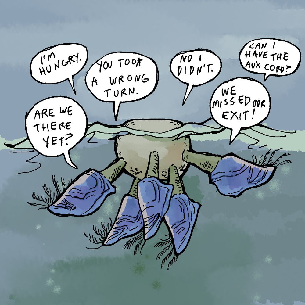A goose barnacle cluster. A round floating object created organically that is similar to styrofoam floats on the surface, and each barnacle is attached to it by a stalk, with the end resembling a bivalve shell. Their cirri, or very thin feather-like legs, are sticking out. Dialogue from each barnacle reads;

Are we there yet?

I'm hungry.

You took a wrong turn.

No I didn't.

Can I have the aux chord?

We missed our exit!