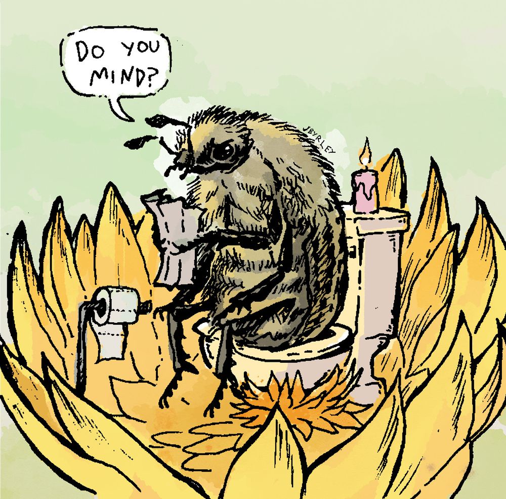 A furry beetle that loosely resembles a bee. It is sitting on a toilet holding a newspaper placed in the middle of a golden flower. Beetle dialogue reads, "Do you mind?"