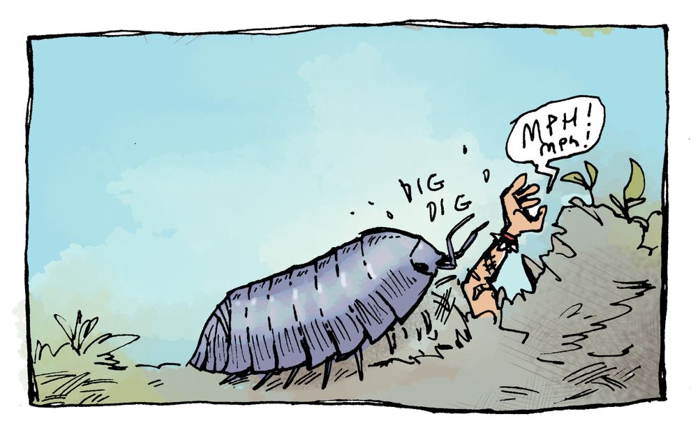 Panel 2: The isopod digs more quickly, a human arm with tattoos and a spiked bracelet emerges from the soil. Text: dig, dig, accompanied by a speech bubble "Mph!"
