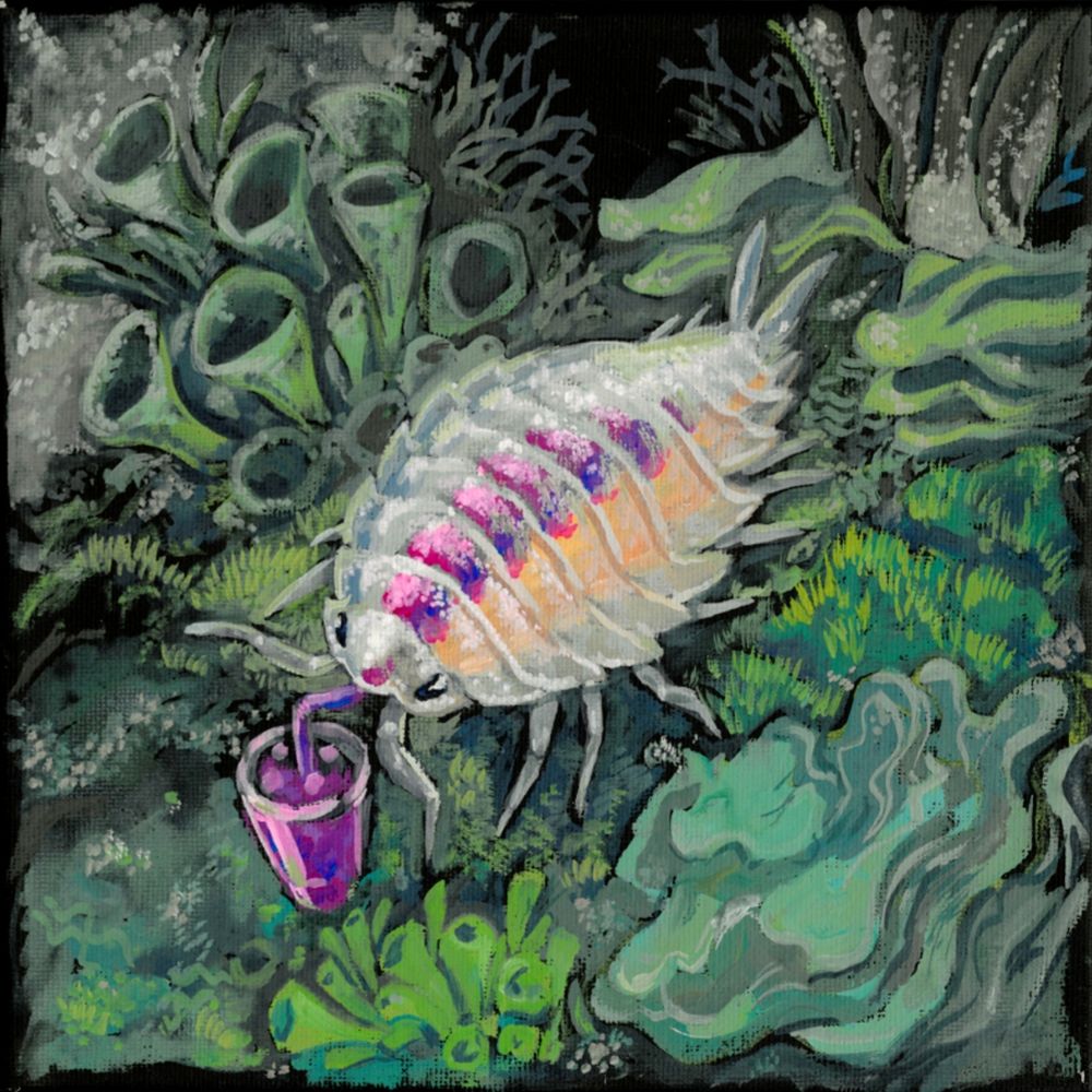 A white, semitransparent isopod with a bright purple drink. The purple drink is partially visible though the isopod's body as it consumes it. It is surrounded by mosses and lichen.