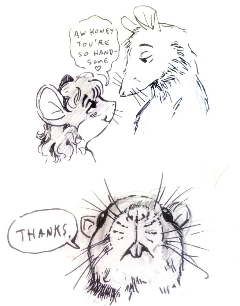 A two panel comic. First panel shows a cartoony mouse woman gazing up lovingly at a rat man. Dialogue "aw honey you're so handsome"

Second panel shows the rat from her perspective, rendered realistically with emphasis on his huge rat nose. Dialogue "thanks."