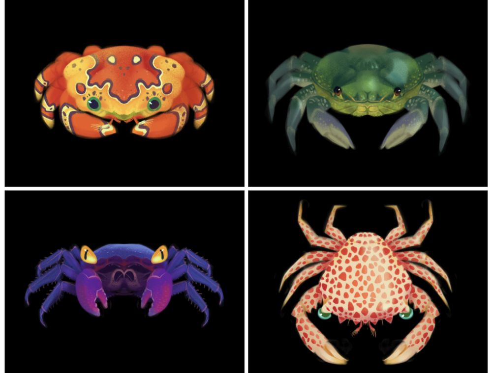 Four panels featuring different crabs against a blank background. Left to right top to bottom: a clown crab that has a rounded legs and body with a high contrast splotchy pattern, a green crab with small eyes and earth toned colors, a vampire crab with large yellow eyes and a striking purple color, and a crab with a flat body and polka dots. 