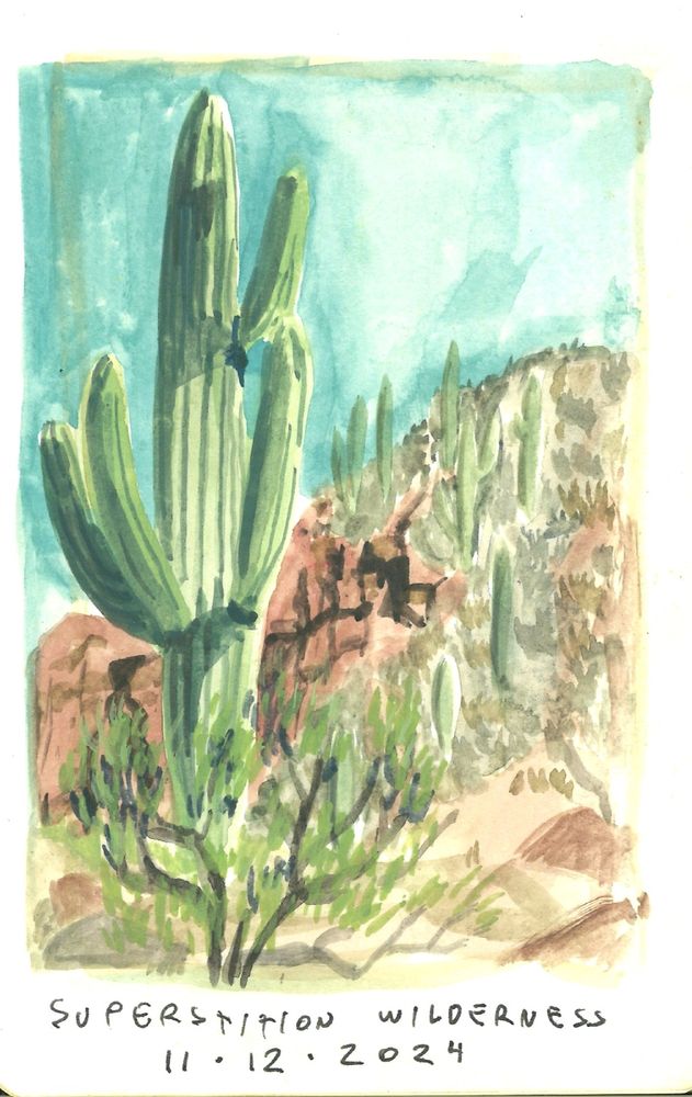 A saguaro cactus stands in front of rugged red cliffs. Caption: superstition wilderness, 11/12/2024