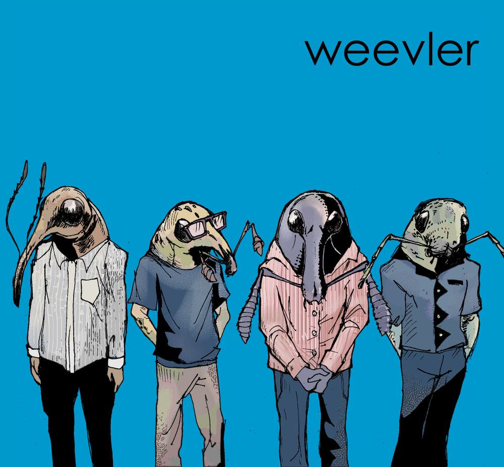 Four humanoid weevils standing in a row in a parody of weezer's debut album art. Top right corner text reads, weevler.