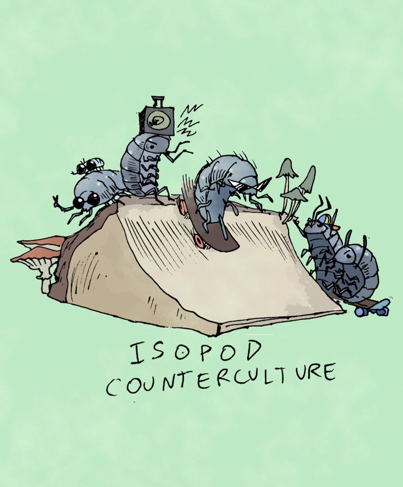 An isopod in sunglasses skateboards down a log cut to look like a ramp. A crowd of isopods wearing sunglasses and caps cheer it on. Caption: isopod counterculture. 