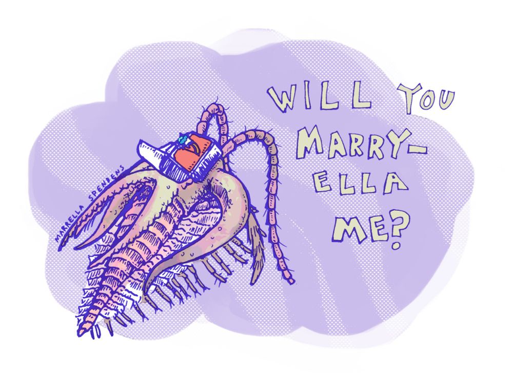 A marella, a creature that resembles a horseshoe crab or trilobite, carries an engagement ring. Text: will you marry-ella me? 