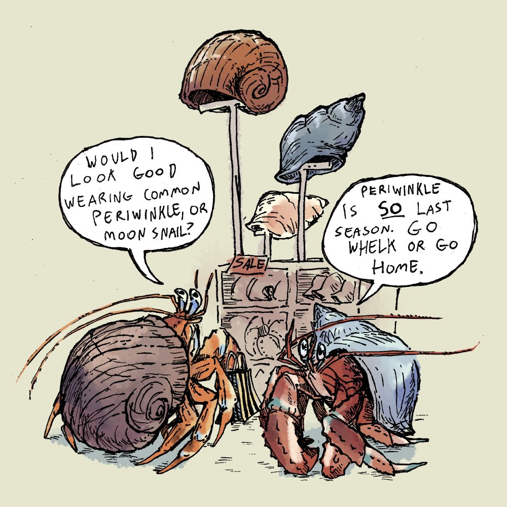 Two hermit crabs in front of a clothing display, only instead of clothing, it is displaying shells. Dialogue:

Hermit crab 1: Would I look good wearing common periwinkle, or moon snail?

Hermit crab 2: Periwinkle is so last season. Go whelk or go home. 