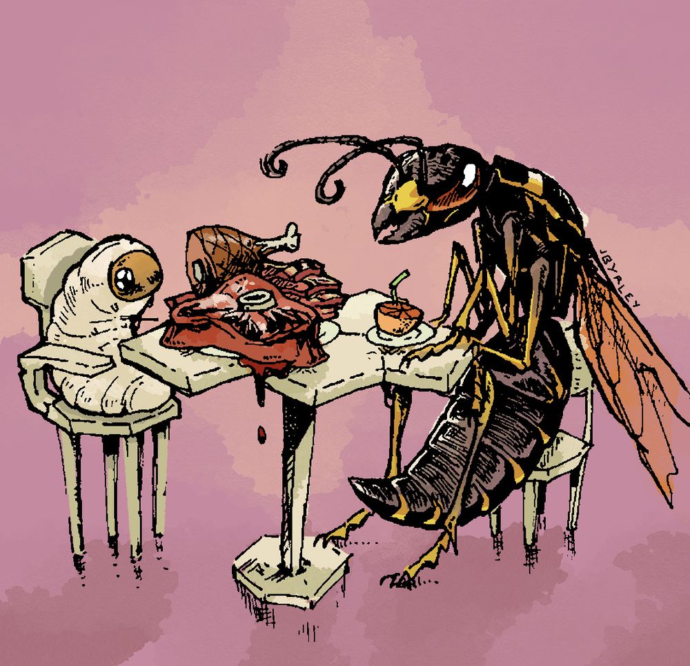 A wasp grub and a wasp sitting at a table. The grub has a comically big pile of juicy meat in front of it, while the adult has a tiny slice of fruit. 