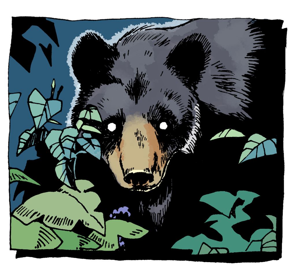 A black bear with white pinpoint eyes partially obscured by greenery.