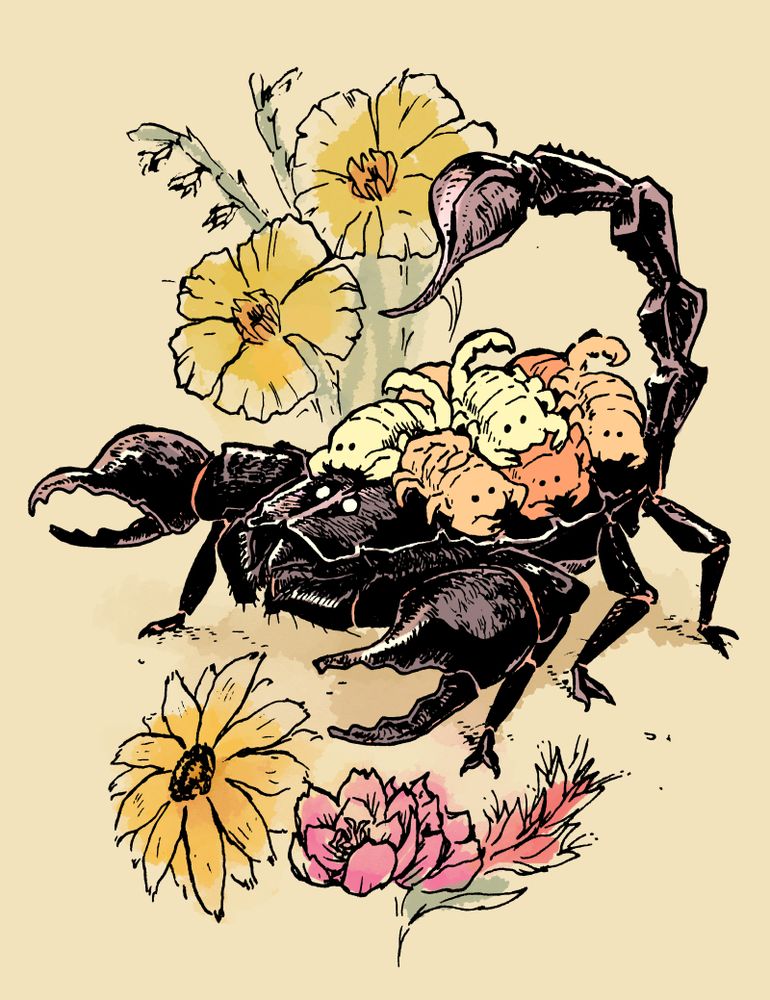 An emperor scorpion carrying its young on its back. It is surrounded by an array of flowers. 