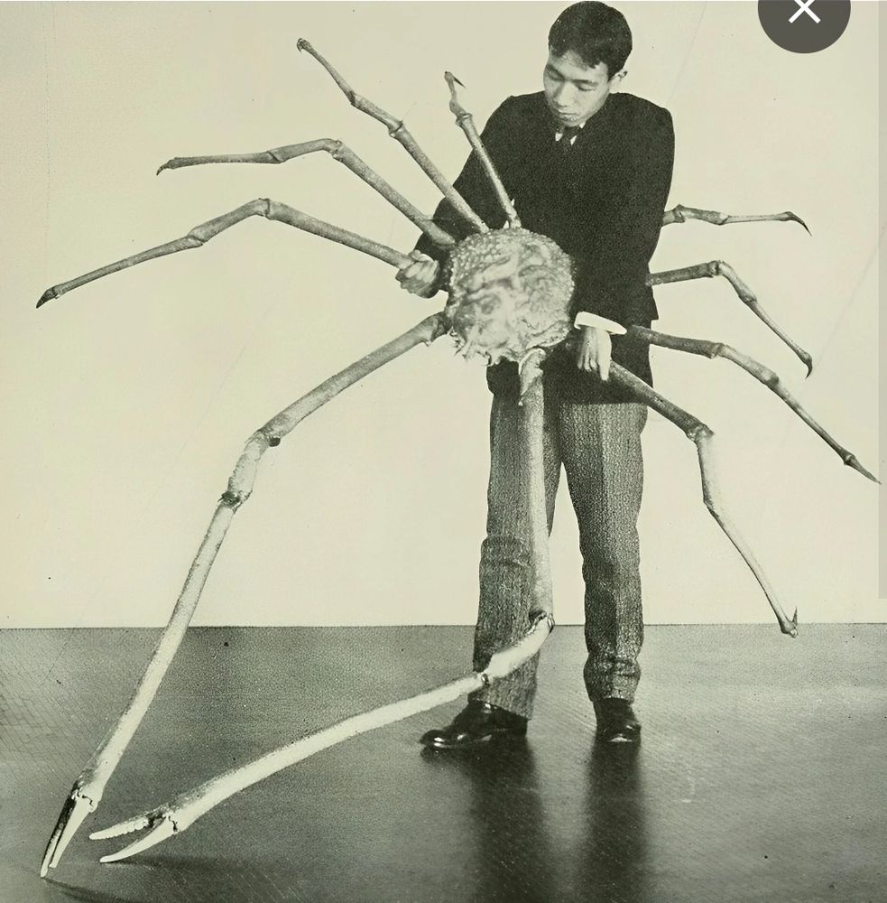 A man holding a giant spider crab, maybe 8-10 feet across. 