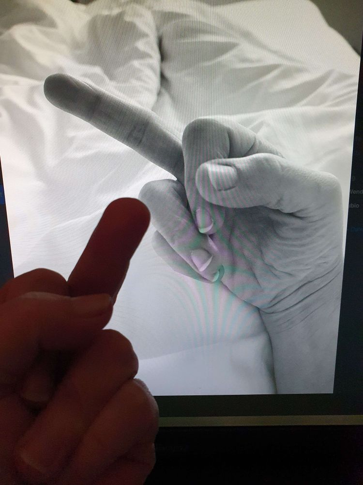 Mein Mittelfinger vor dem Monitor auf dem das Mittelfingerbild von Frau Tante zu sehen ist.