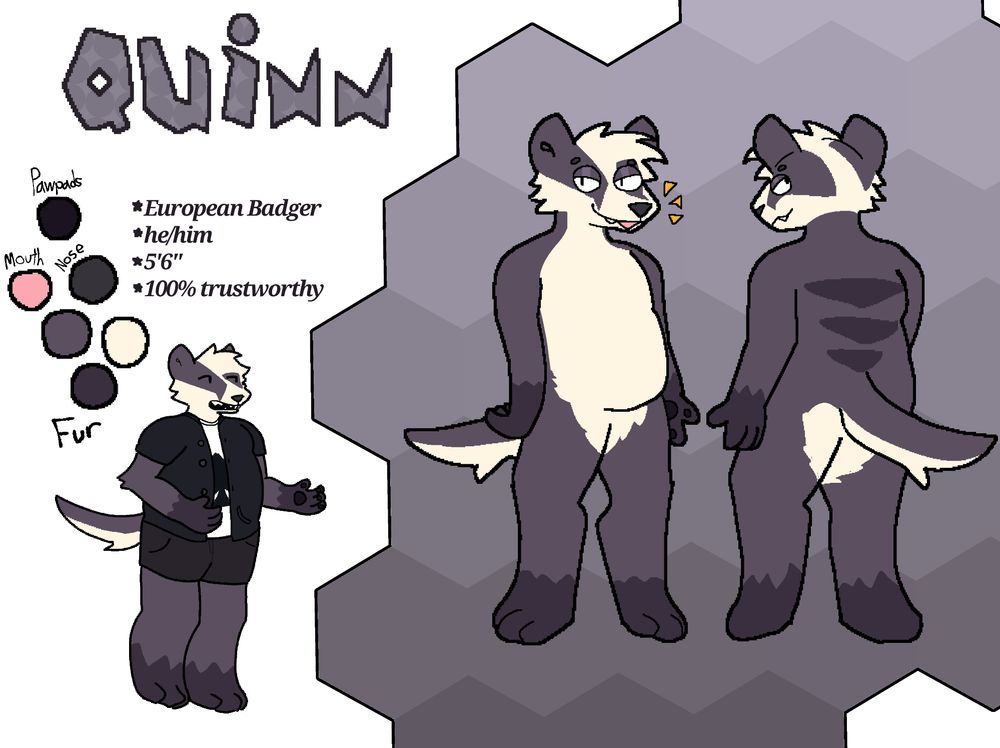 Reference of Quinn the European Badger by me, Quibolt...