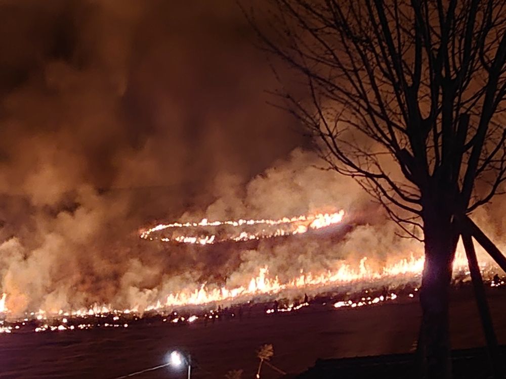 若草山が焼けている様子(まだ序盤)