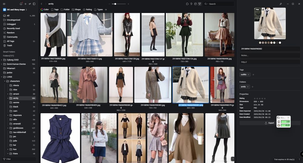 Hika's Eagle folder for their OC Amity's outfits.