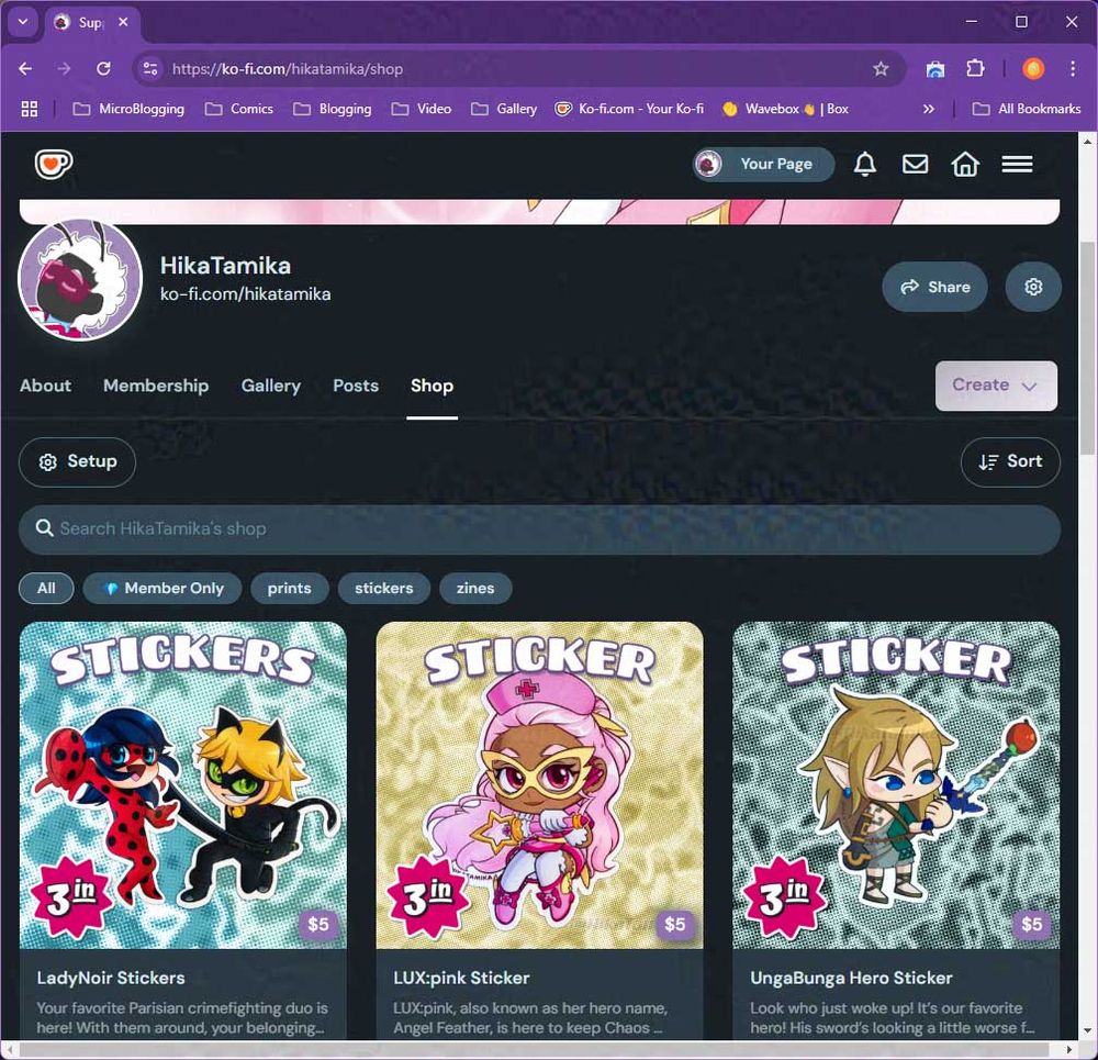 I Launched a Webshop!