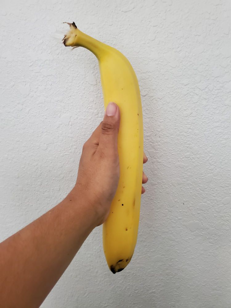 OP is holding an organic banana. It is concerningly huge.