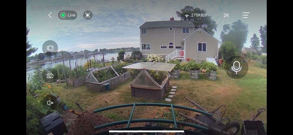 Picture of my vegetable garden from my bird feeder camera 