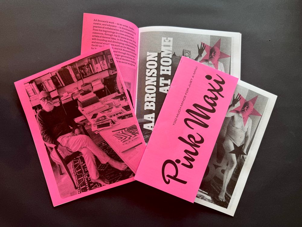 3 copies of Pink Maxi zine
