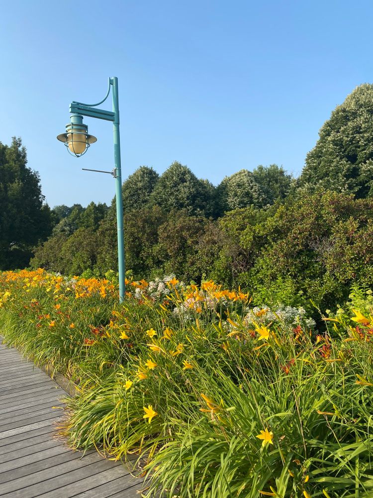 Boardwalk at Lake Champlain in Burlington, Vermont