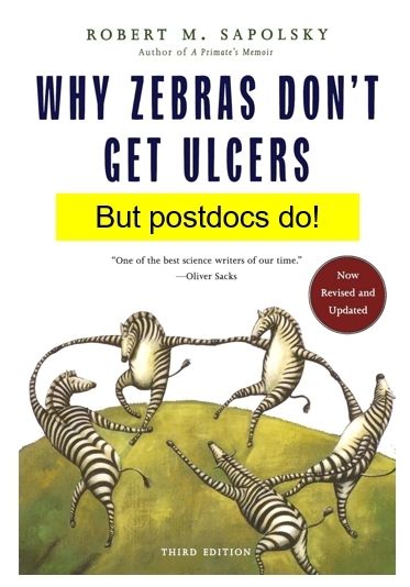 Cover of Robert Sapolsky's book "Why Zebras Don't Get Ulcers" with text overlay saying "but postdocs do!"