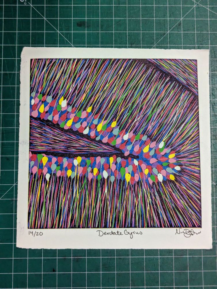 Multicolor linocut print resembling a brainbow microscopy image 