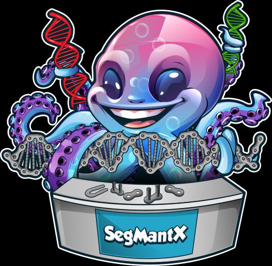 SegMantX, a local alignment chaining tool 