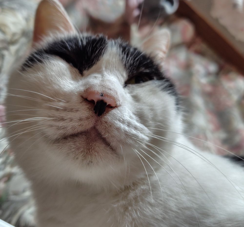 真下から撮った長男