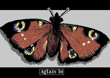 Pixel art drawing of a butterfly with caption "Aglais Io"