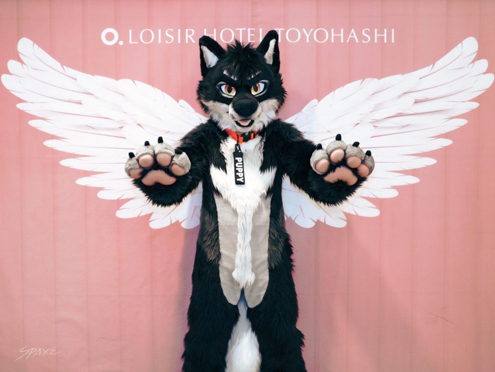 Black, grey, and white wolf-like fursuit character standing in front of a backdrop with "Loisir Hotel Toyohashi" text. The fursuit has white fur on the chest and inner arms, black and grey fur on the body, and large, detailed paw pads prominently displayed. The character is wearing a "PUPPY" tag around their neck and is posing confidently with arms wide open. Behind them is a pair of large, white, feathery angel-like wings, giving the impression of a majestic or fantasy-themed appearance.